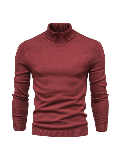 Strickpullover | Schmale Passform | Langärmlig | Rollkragen | Herrenbekleidung-HauteBerlin